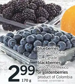 Fortinos BLUEBERRIES, BLACKBERRIES OR GOLDENBERRIES, 170 g offer