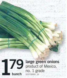 Fortinos LARGE GREEN ONIONS, BUNCH offer