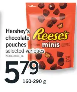 Fortinos HERSHEY'S CHOCOLATE POUCHES, 160-290 g offer