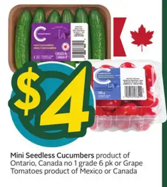 Sobeys COMPLIMENTS Mini Seedless Cucumbers Ontario, Canada 1 grade offer