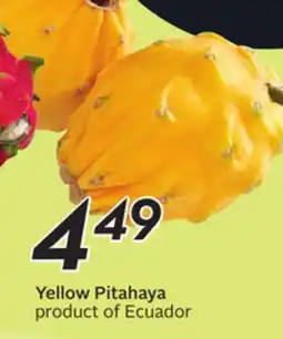 Sobeys Yellow Pitahaya offer