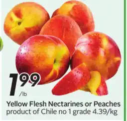 Sobeys Yellow Flesh Nectarines or Peaches offer