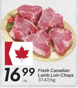 Sobeys Fresh Canadian Lamb Loin Chops offer