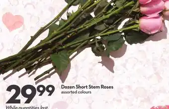 Longo's Dozen Short Stem Roses offer