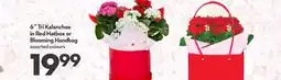 Longo's 6˝ Tri Kalanchoe in Red Hatbox or Blooming Handbag offer