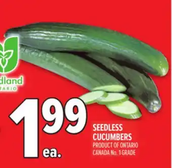 Metro SEEDLESS CUCUMBERS offer