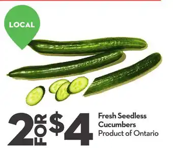 Longo's Fresh Seedless Cucumbers offer