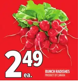 Metro BUNCH RADISHES offer