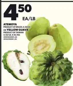 Loblaws ATEMOYA OR YELLOW GUAVA offer