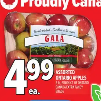 Metro ASSORTED ONTARIO APPLES offer