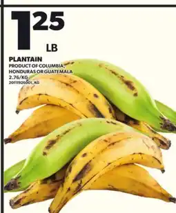 Loblaws PLANTAIN offer