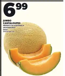 Loblaws JUMBO CANTALOUPES offer