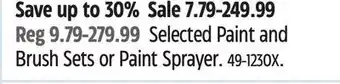 Canadian Tire Premier Selected Paint and Brush Sets or Paint Sprayer offer