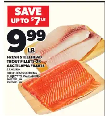 Loblaws FRESH STEELHEAD TROUT FILLETS OR ASC TILAPIA FILLETS offer