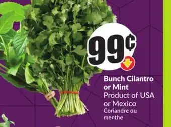 Chalo FreshCo Bunch Cilantro or Mint Product of USA or Mexico offer