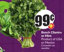 FreshCo Bunch Cilantro or Mint Product of USA or Mexico offer