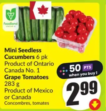 FreshCo Mini Seedless 6 pk Product of Ontario Canada No. 1 Grape Tomatoes 283 g Product Of Mexico or Canada offer