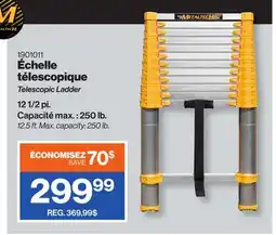 Patrick Morin Telescopic Ladder offer