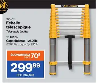 Patrick Morin Telescopic Ladder offer