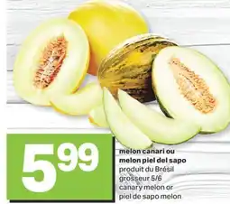 L'Intermarché MELON CANARI OU MELON PIEL DEL SAPO, GROSSEUR 5/6 offer