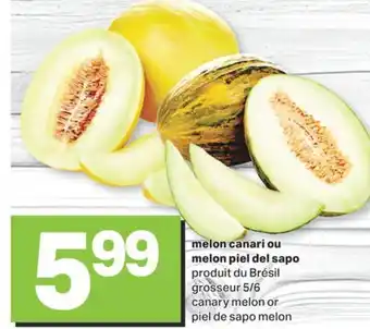 L'Intermarché MELON CANARI OU MELON PIEL DEL SAPO, GROSSEUR 5/6 offer