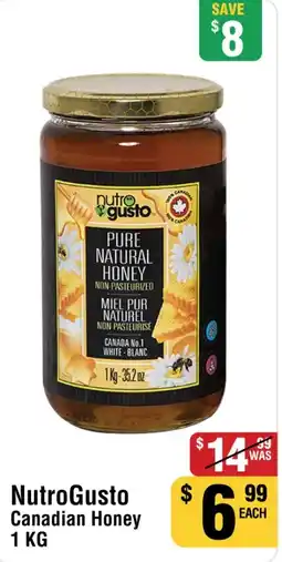 Iqbal Foods NutroGusto Canadian Honey offer