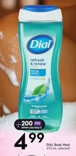 Sobeys Dial body wash offer