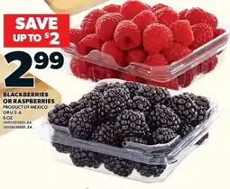 Loblaws Blackberries or raspberries offer