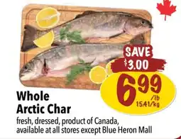 Farm Boy Whole Arctic Char offer