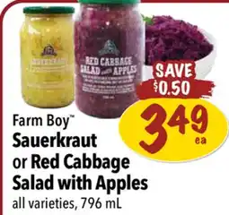 Farm Boy Farm Boy Sauerkraut or Red Cabbage Salad with Apples offer