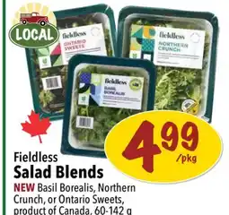 Farm Boy Fieldless Salad Blends offer