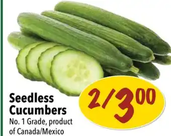 Farm Boy Seedless Cucumbers offer