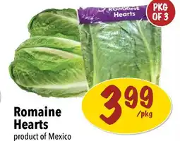 Farm Boy Romaine Hearts offer