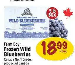 Farm Boy Farm Boy Frozen Wild Blueberries offer