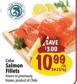 Farm Boy Coho Salmon Fillets offer