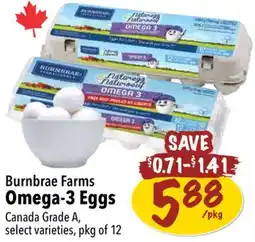 Farm Boy Burnbrae Farms Omega-3 Eggs offer