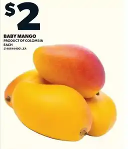 Loblaws Baby Mango offer