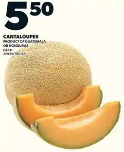 Loblaws Cantaloupes offer