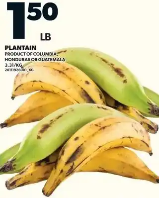 Loblaws PLANTAIN offer