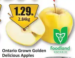 Starsky Ontario Grown Golden Delicious Apples offer