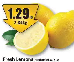 Starsky Fresh Lemons offer