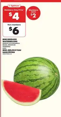 Independent City Market MINI SEEDLESS WATERMELONS offer