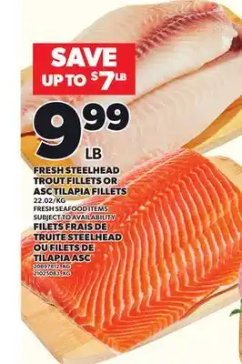 Independent City Market FRESH STEELHEAD TROUT FILLETS OR ASC TILAPIA FILLETS offer