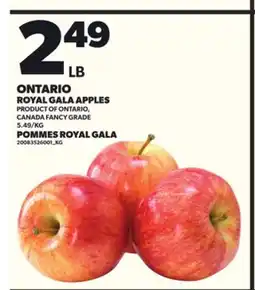 Independent City Market ROYAL GALA APPLES offer