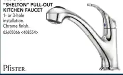 RONA SHELTON FULL-OUT KITCHEN FAUCET offer