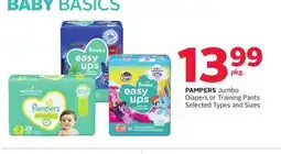 Rexall PAMPERS Jumbo Diapers or Training Pants offer