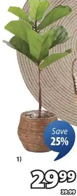 JYSK KELD Artificial plant offer