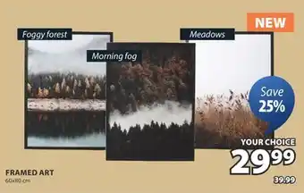 JYSK Foggy forest, Meadows, Morning fog offer