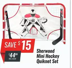 Hockey Life SHERWOOD MINI HOCKEY QUIKNET SET offer