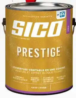 Matériaux Pont Masson Sico Pearl Prestige paint offer